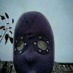 thomsonlatex avatar