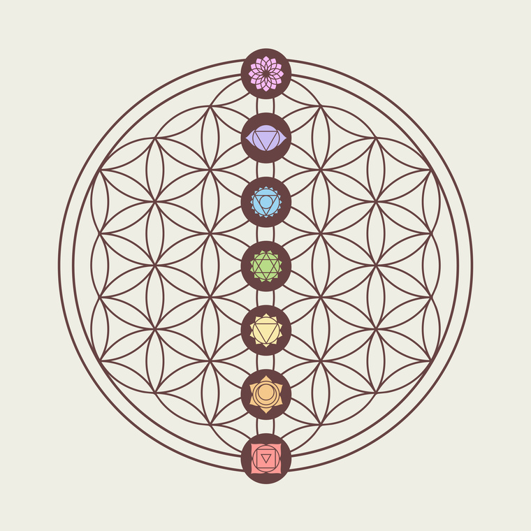 Through Breath Yoga banner image