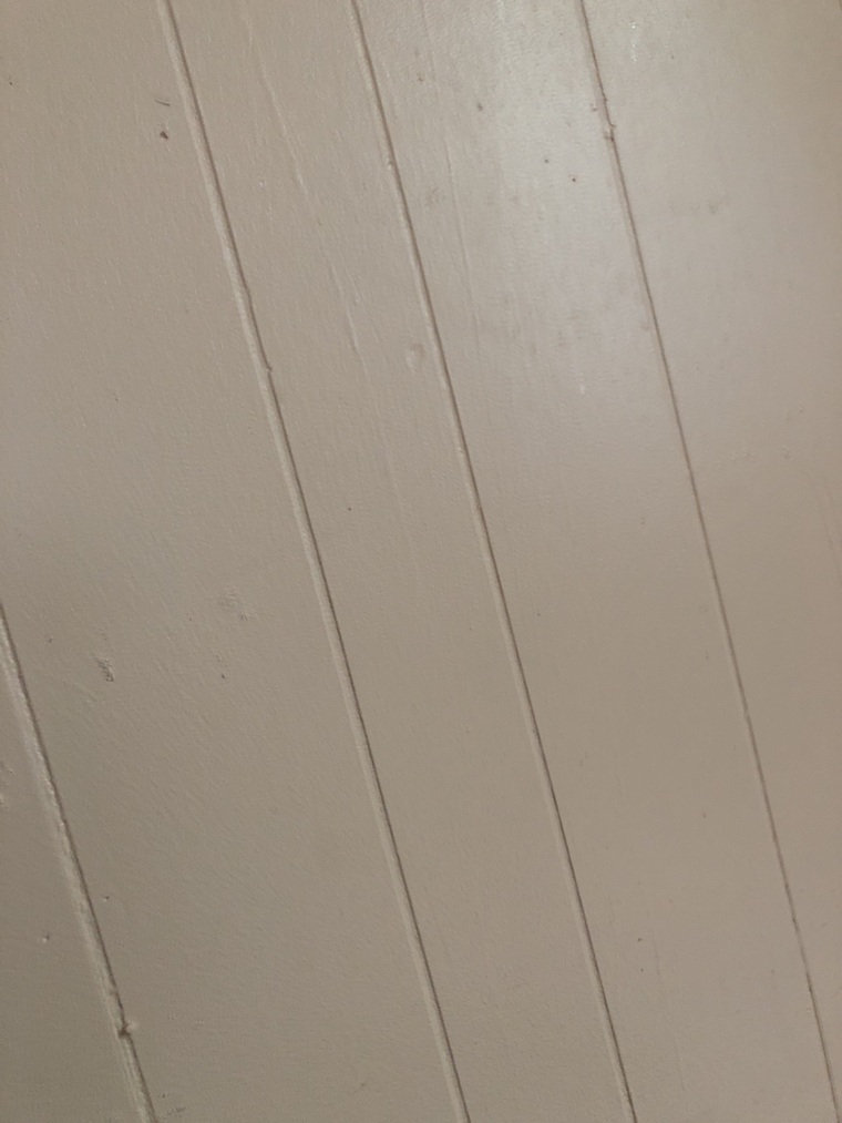 Brandon!!!! cover image