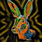 ThumperDae avatar