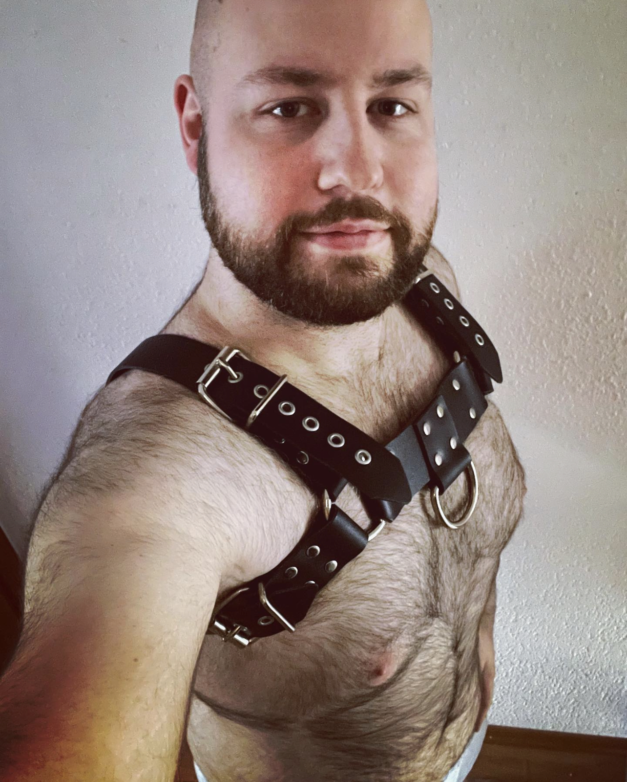 ThunderBear banner image