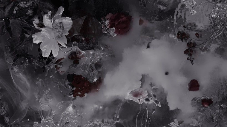 𝔭𝔲𝔭 ♡ cover image