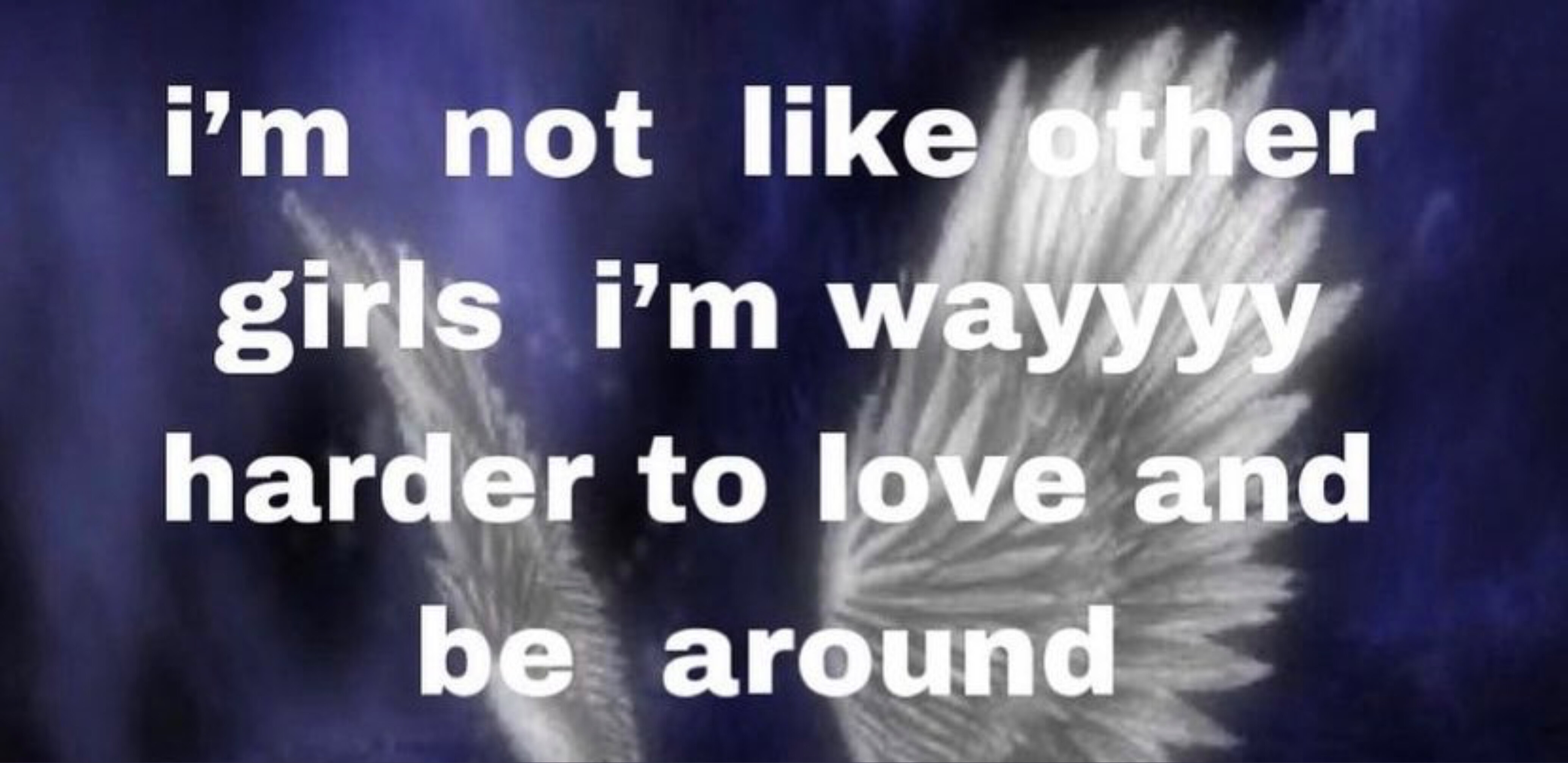 bella luna banner image
