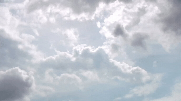 TiasTinyToes banner image