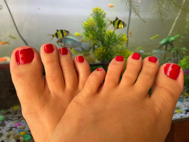 SexyKinkyFeet banner image