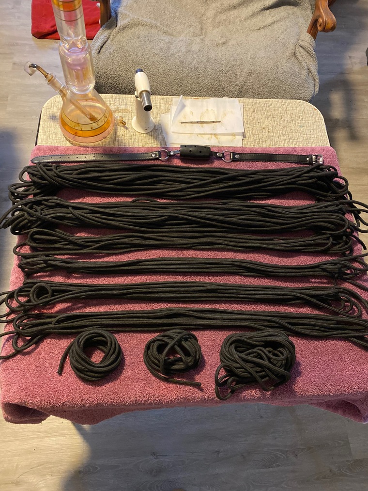 Shibari cover image