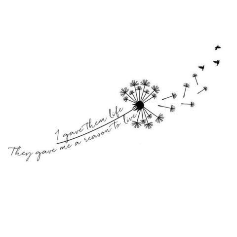 Fyte🦋 cover image