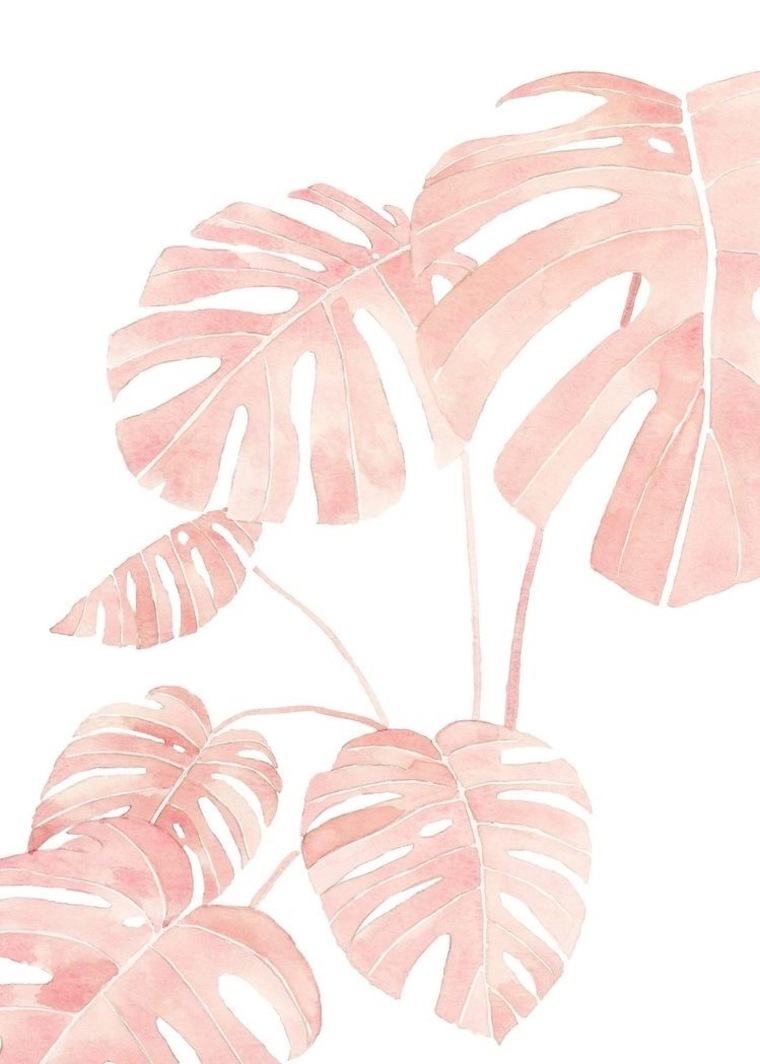 Tiffany Ann cover image
