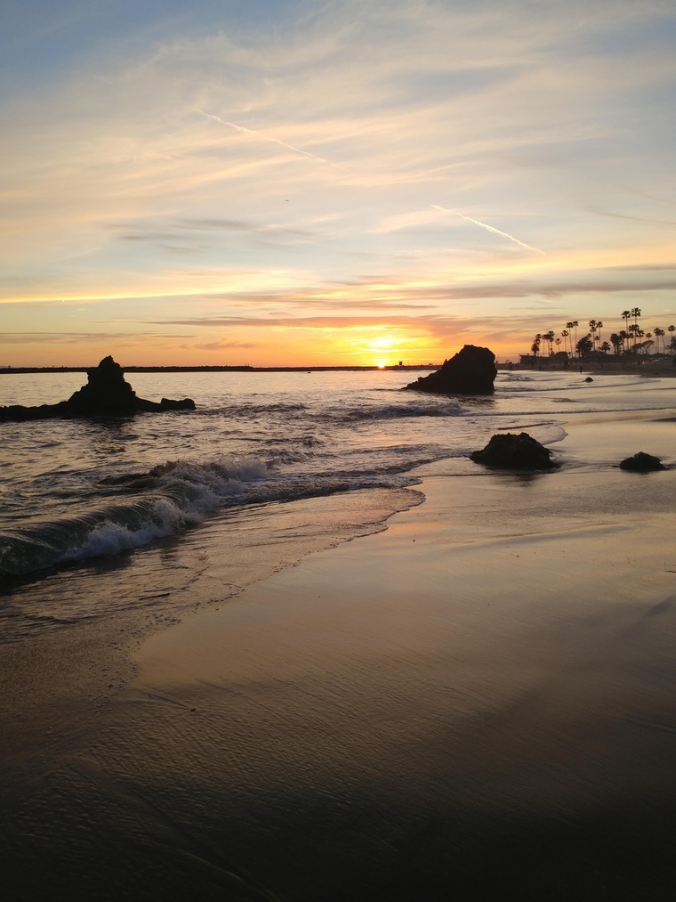 Tiffany Fernandez-Johnson banner image