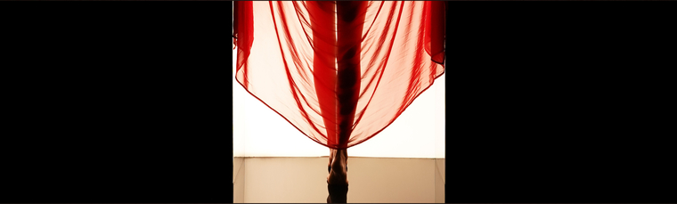 ◇ Tiffany ◇ cover image