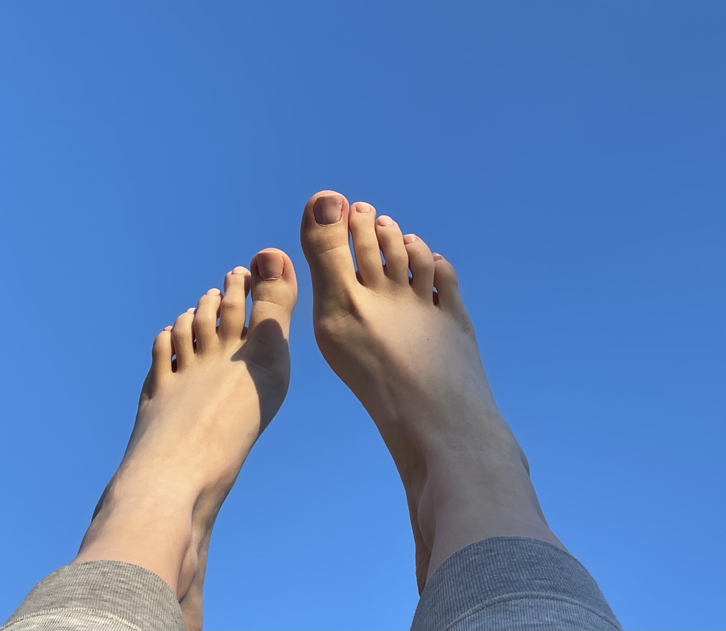 Tiffany banner image