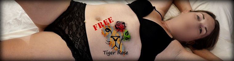 Tiger Rose [Free] cover image