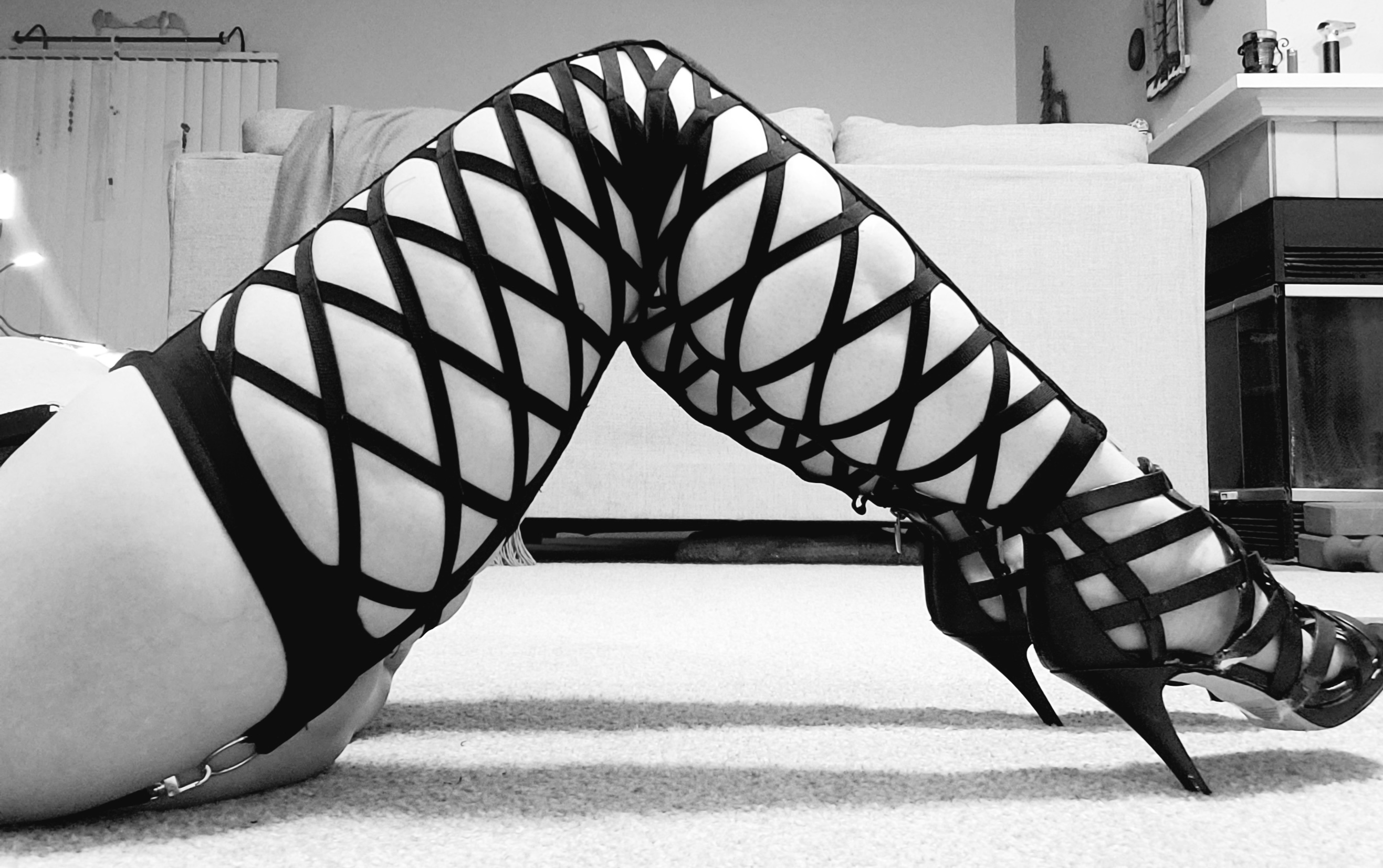 Tigress11 banner image