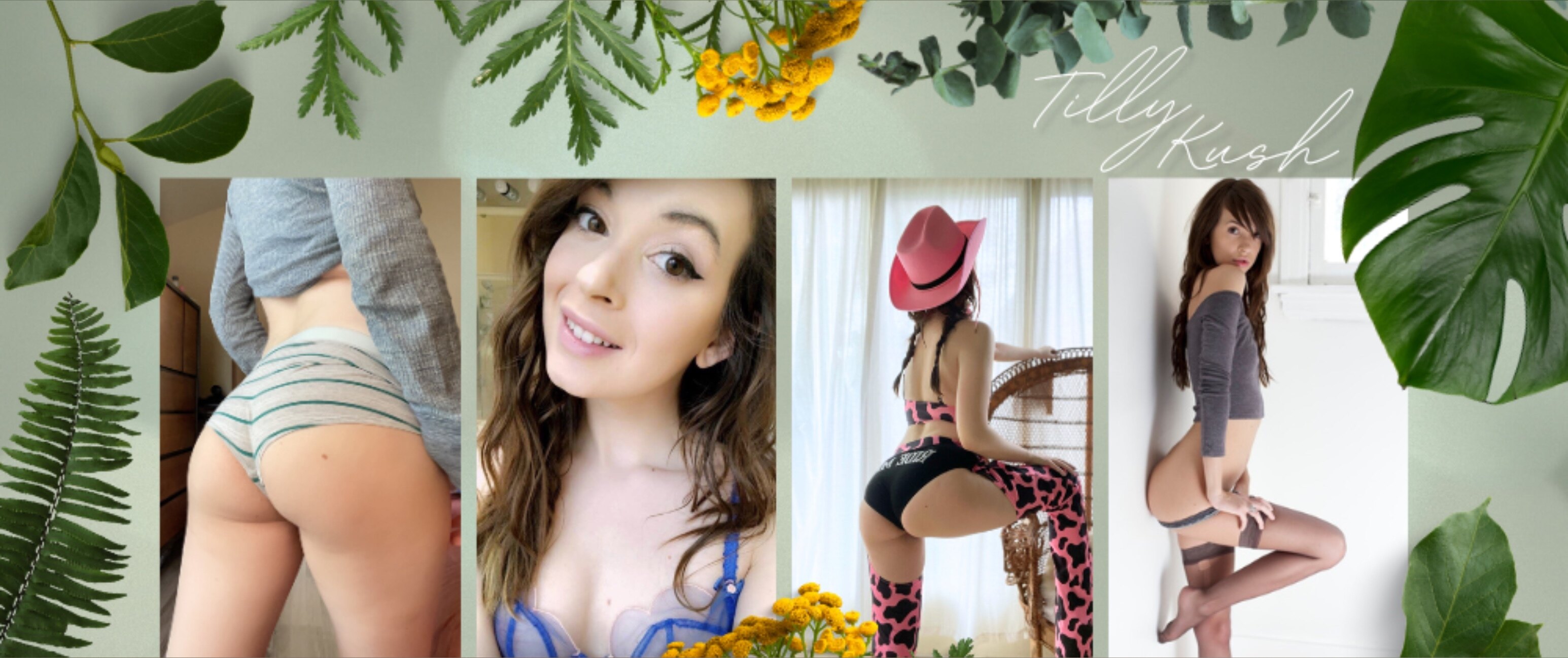 Tilly banner image