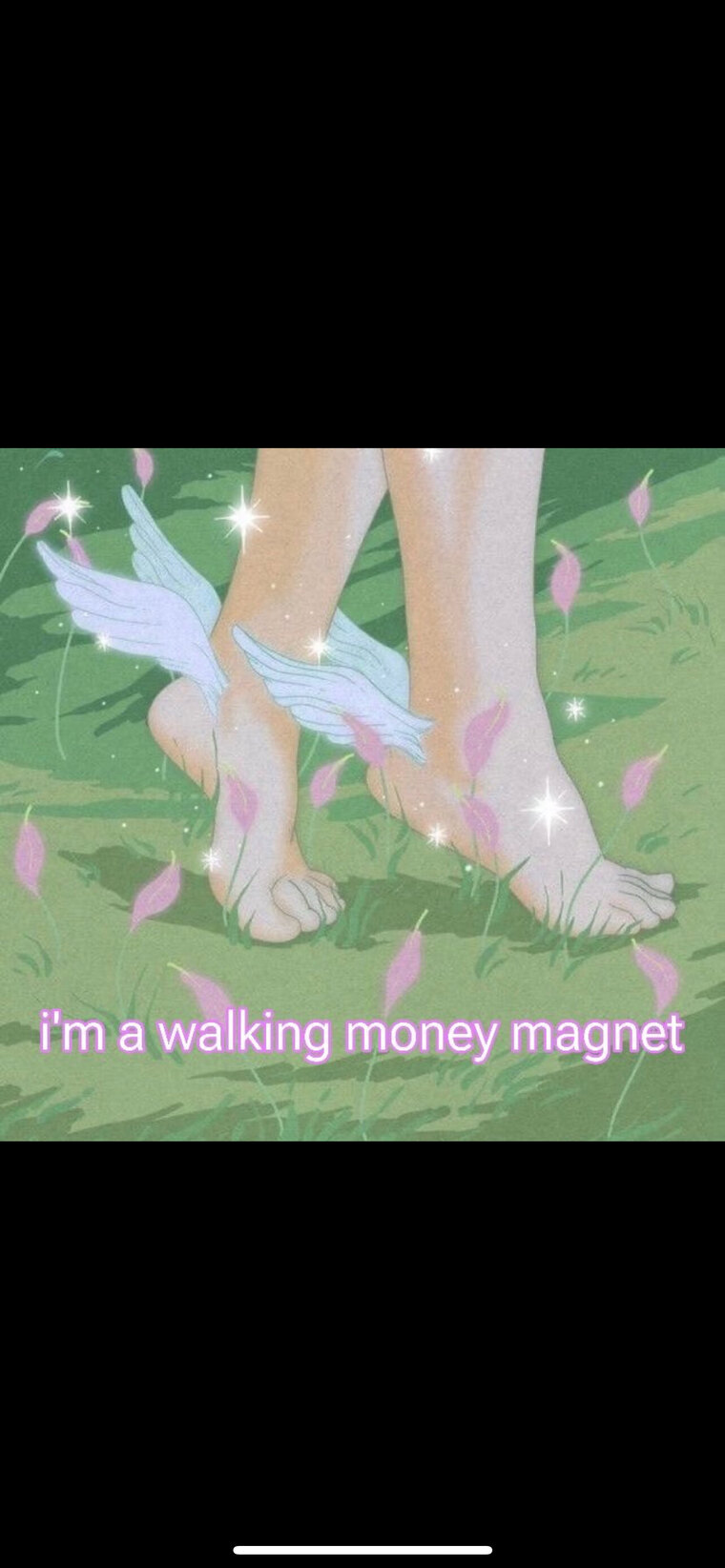 Premiumilftoes cover image