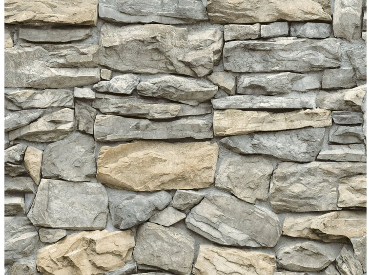 Timber2 banner image