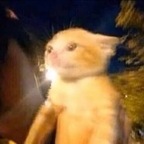 Slimothy Timothy avatar