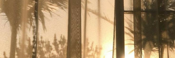 Tina Rose banner image