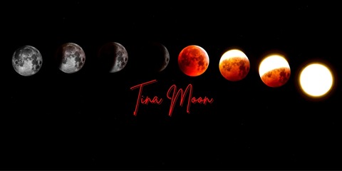 🌙 𝑴𝒂𝒅𝒂𝒎 𝑴𝒐𝒐𝒏 🌙 cover image