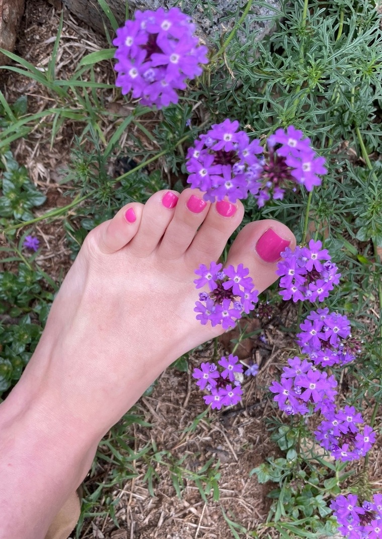 TinCanToesies banner image