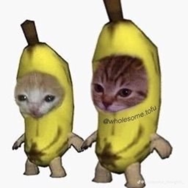 TINDER HOOKUPS cover image