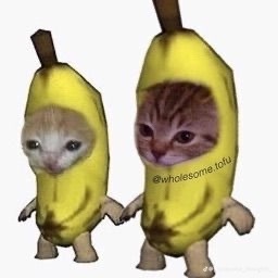 TINDER HOOKUPS banner image