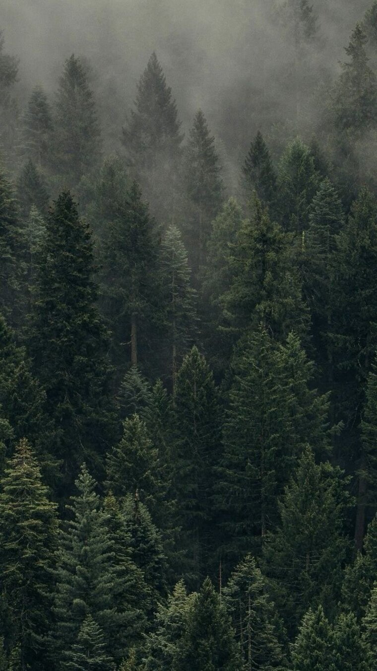 Just cover image