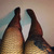 Sexxxylatina avatar