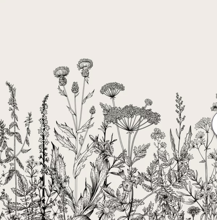 Kitty cover image