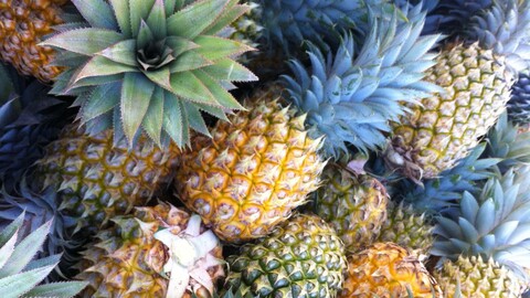 Tiny_pineapple cover image