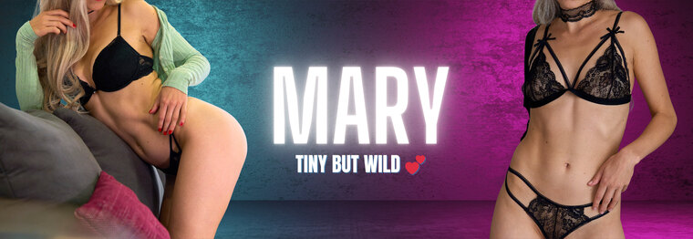 Tiny Mary π banner image