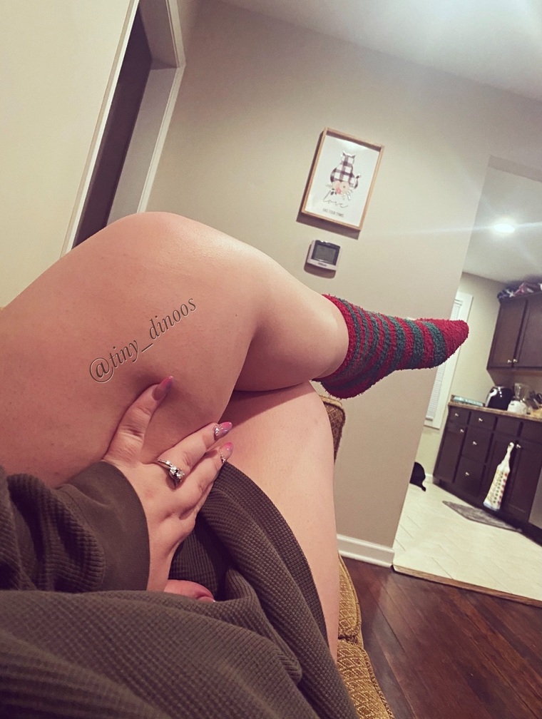 Rose 🌹 banner image
