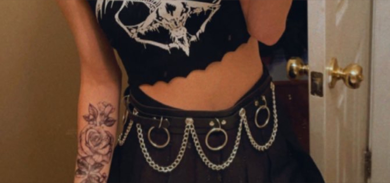 Ginger banner image