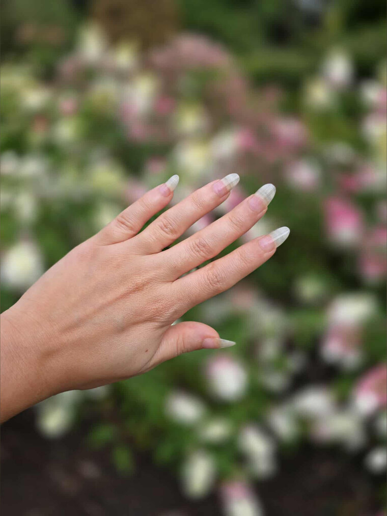 Petite Nail Princess cover image