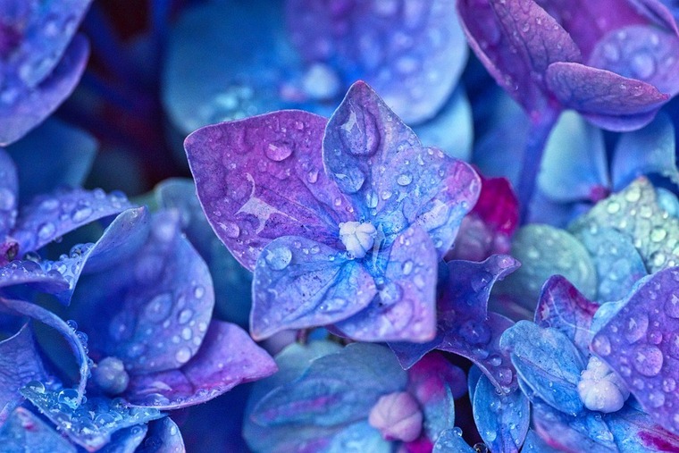 TippyDoes cover image