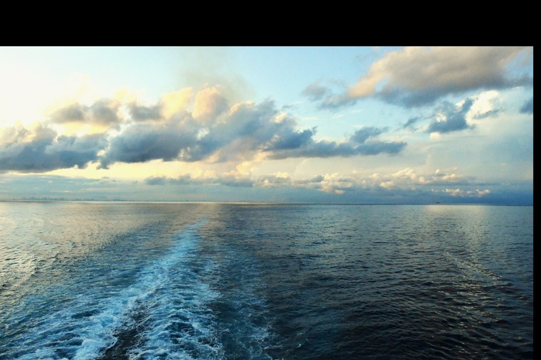 Tripp cover image