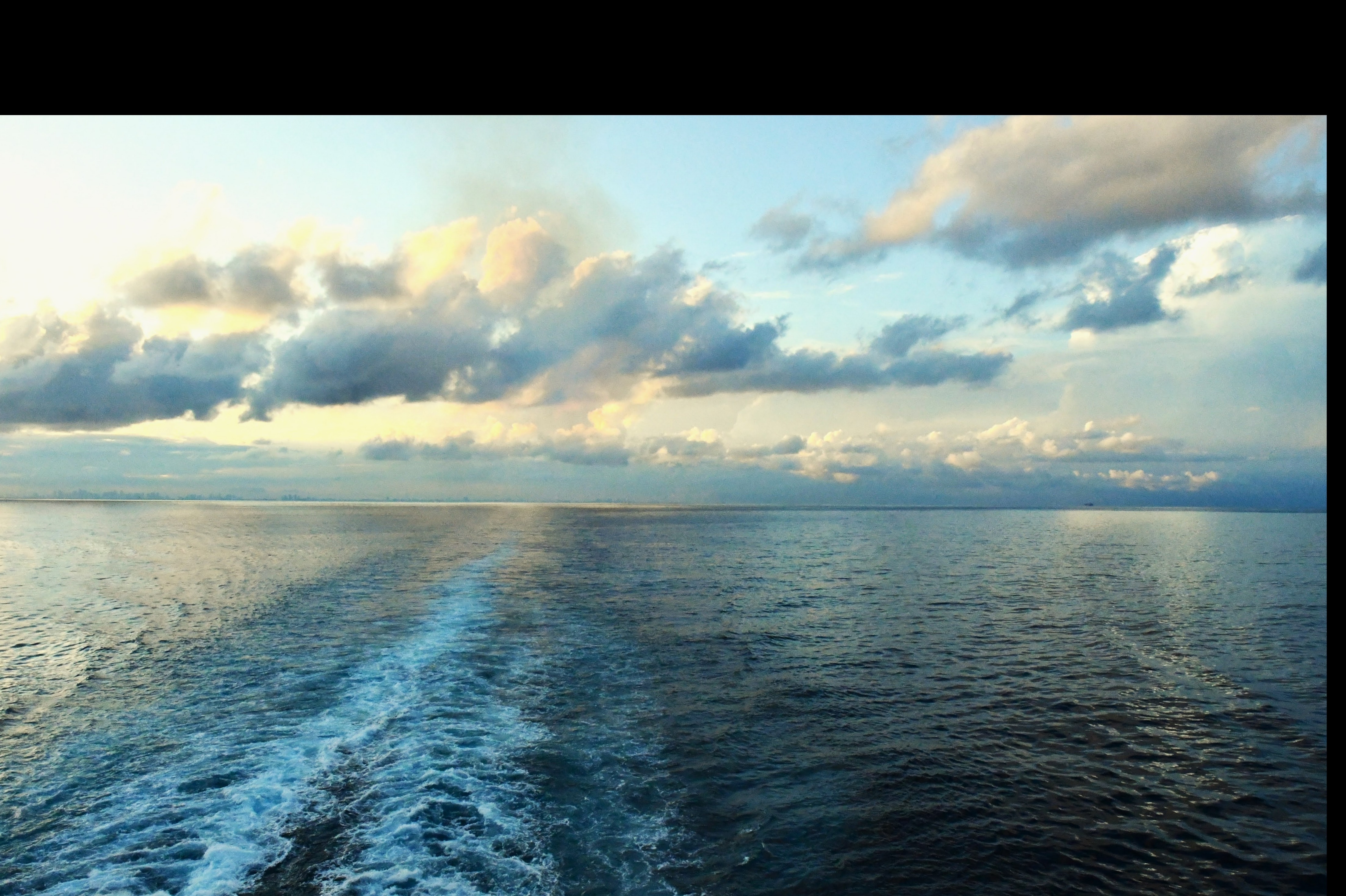 Tripp banner image