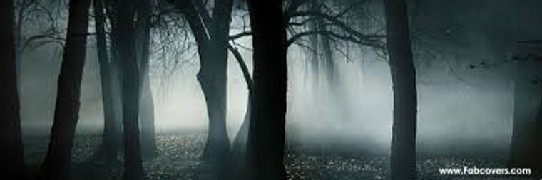 ShyLittleGuy banner image