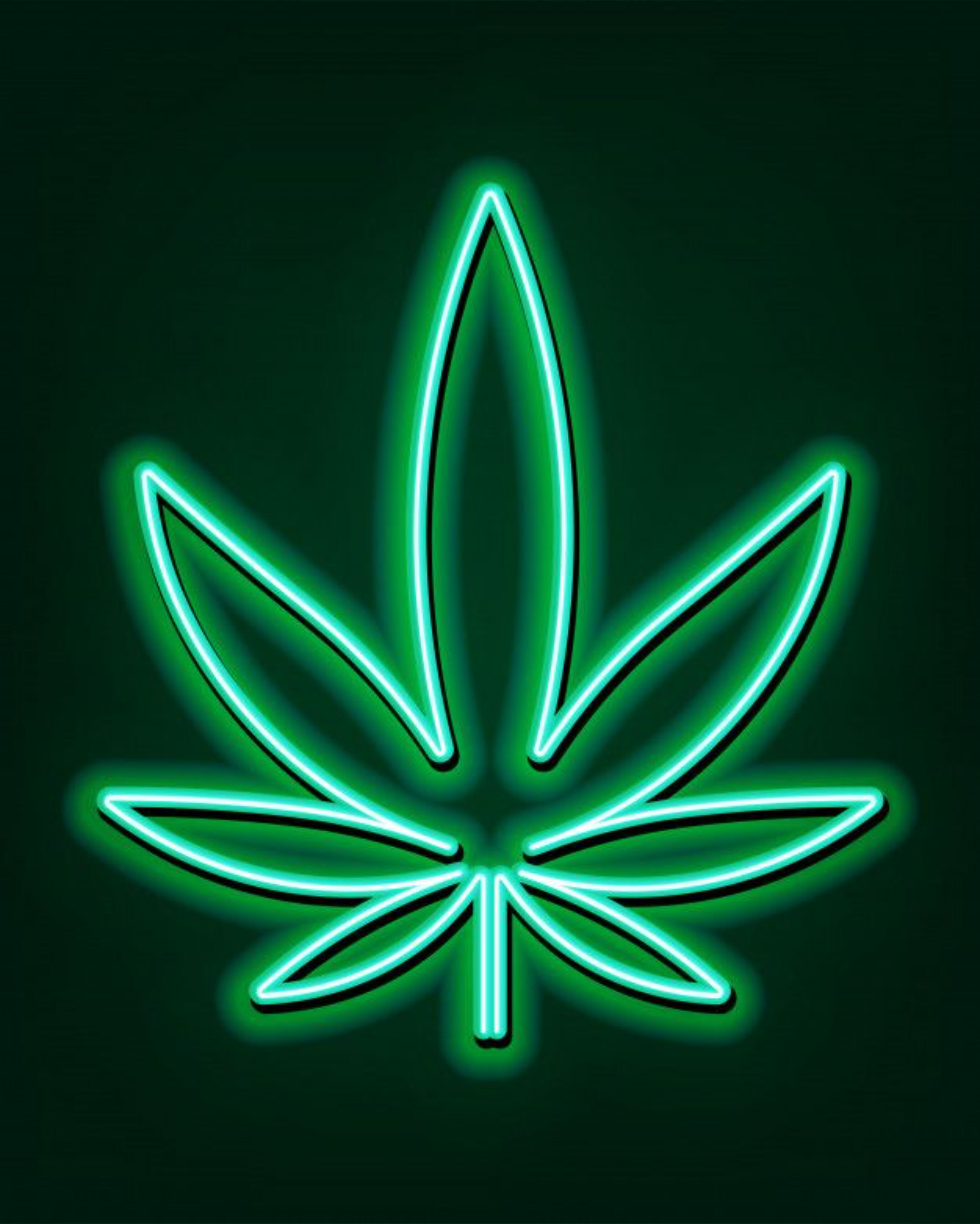 Tivi Weedy banner image