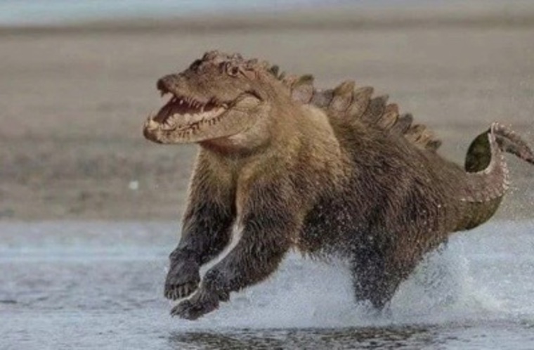 TJFloofs cover image