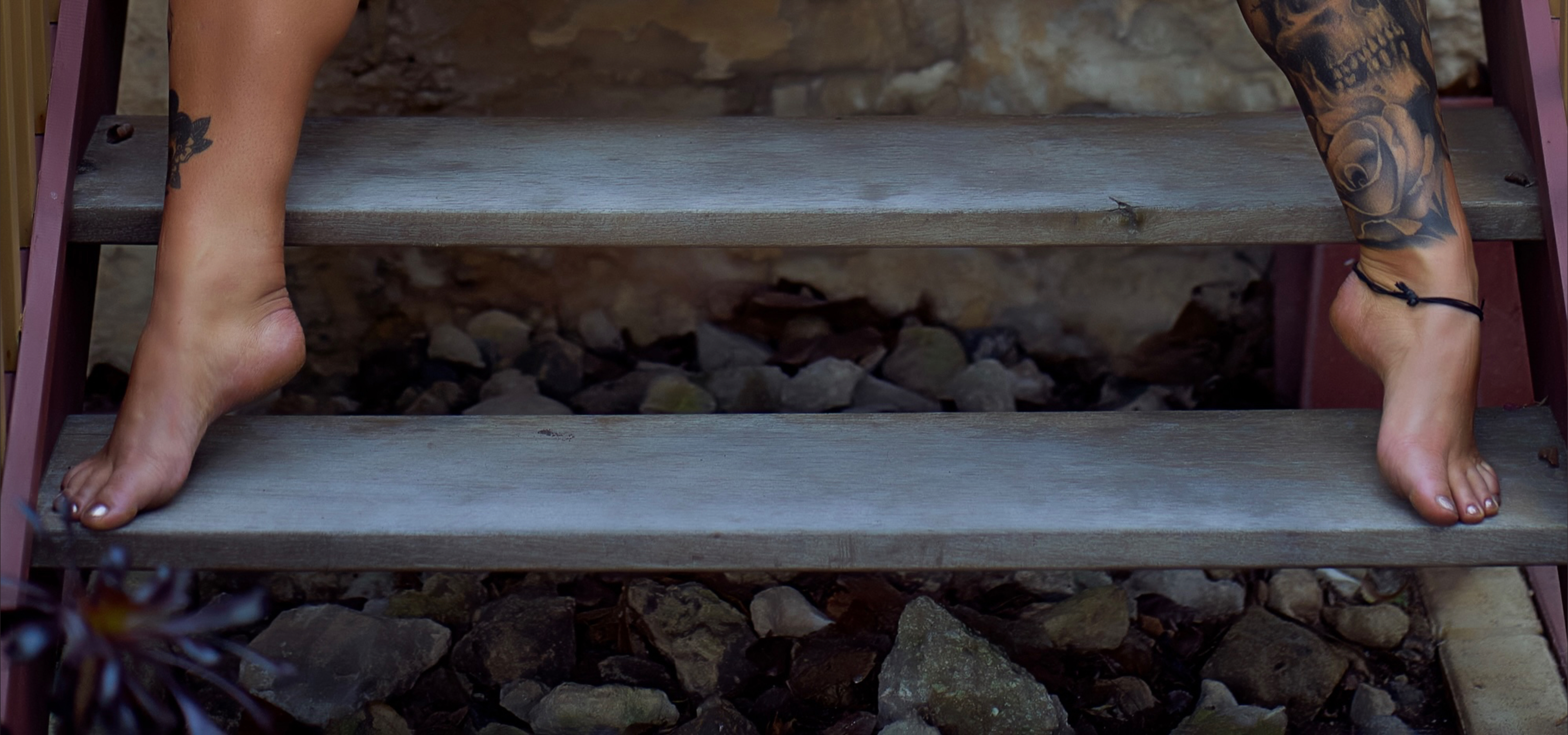 TJ Porter banner image