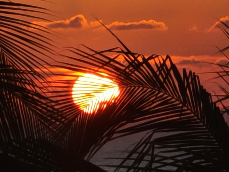Tm_yolo3032 banner image