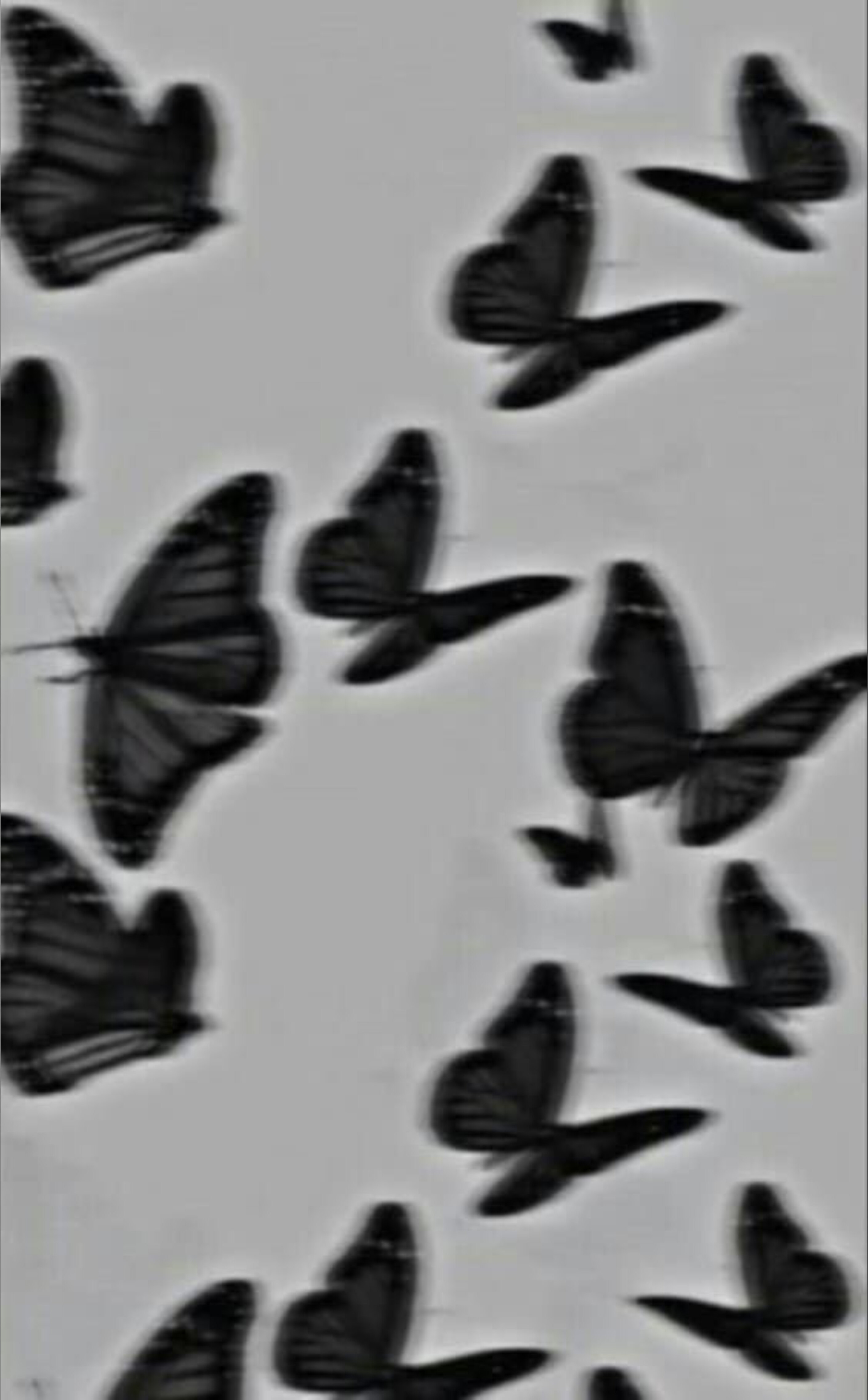 Trina ๐ banner image