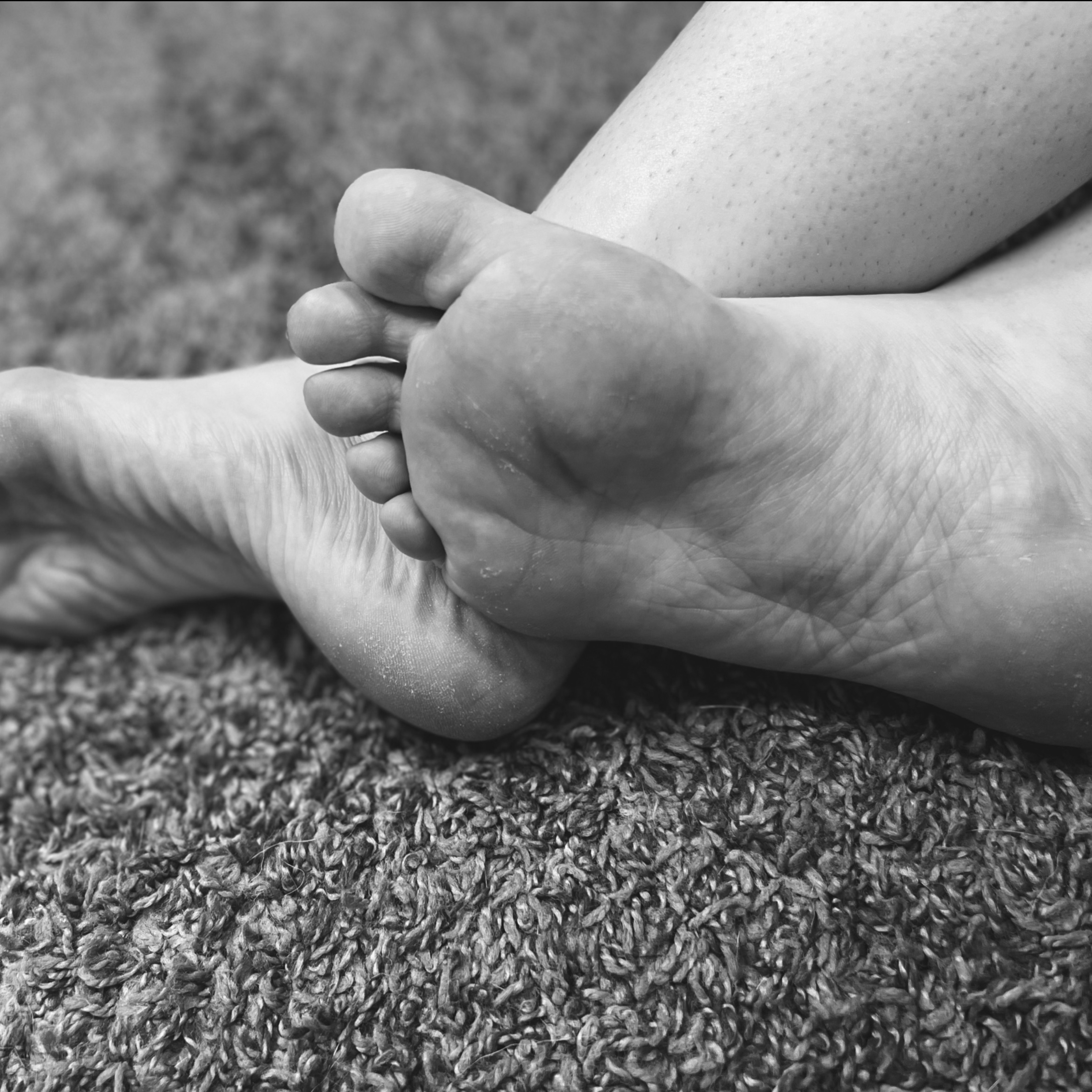 ToastedTootsies banner image