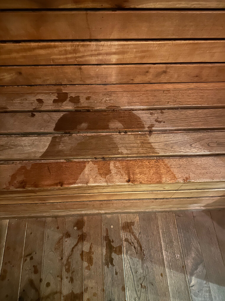 Toasty cover image