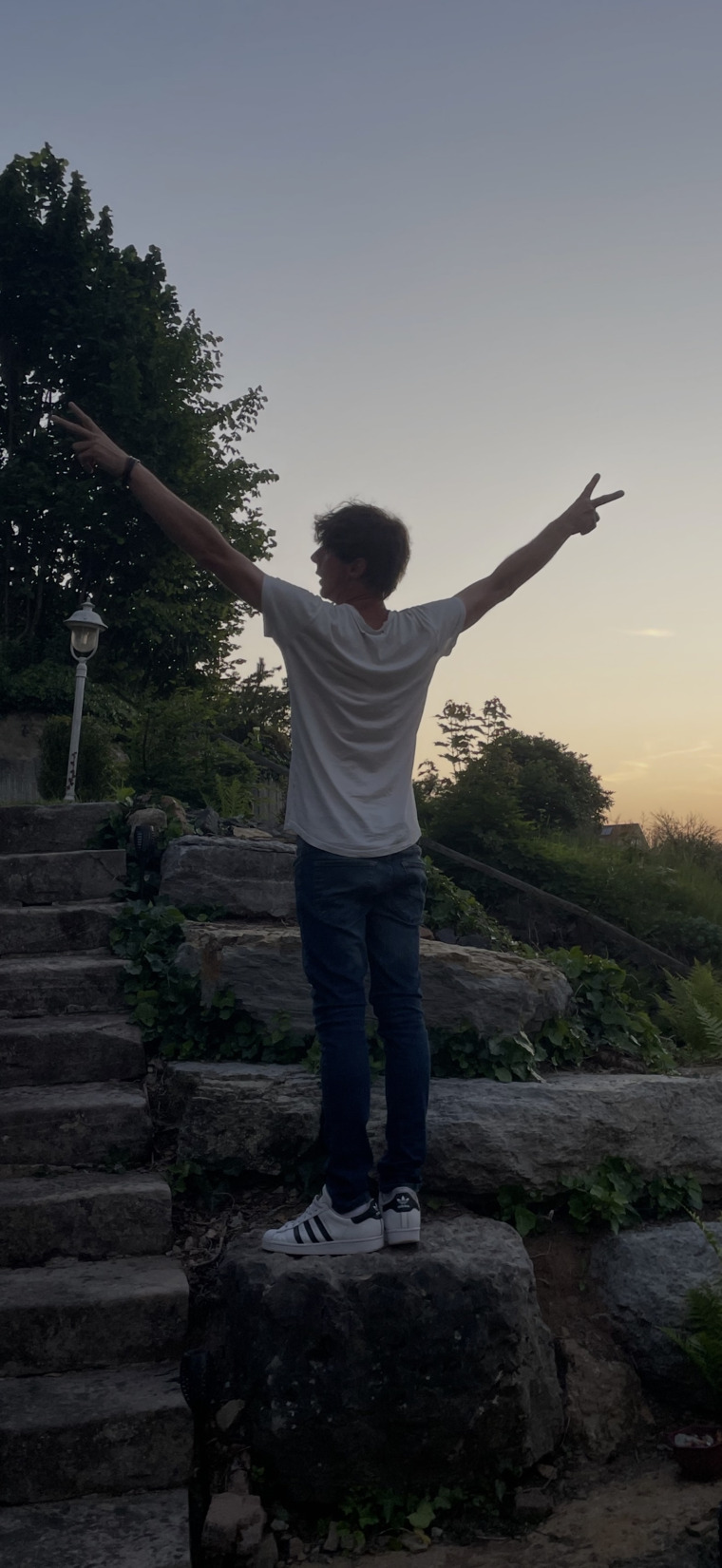 tody banner image
