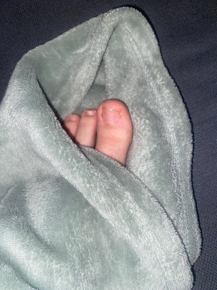 Toe Dazie banner image