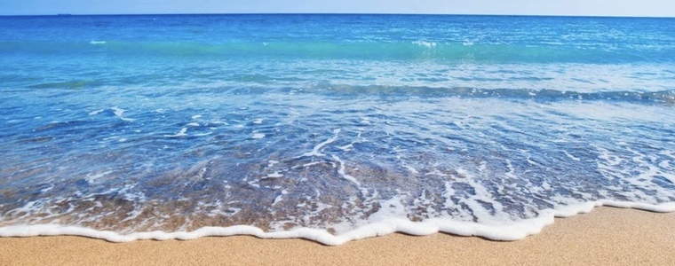 Toes. R. Us banner image