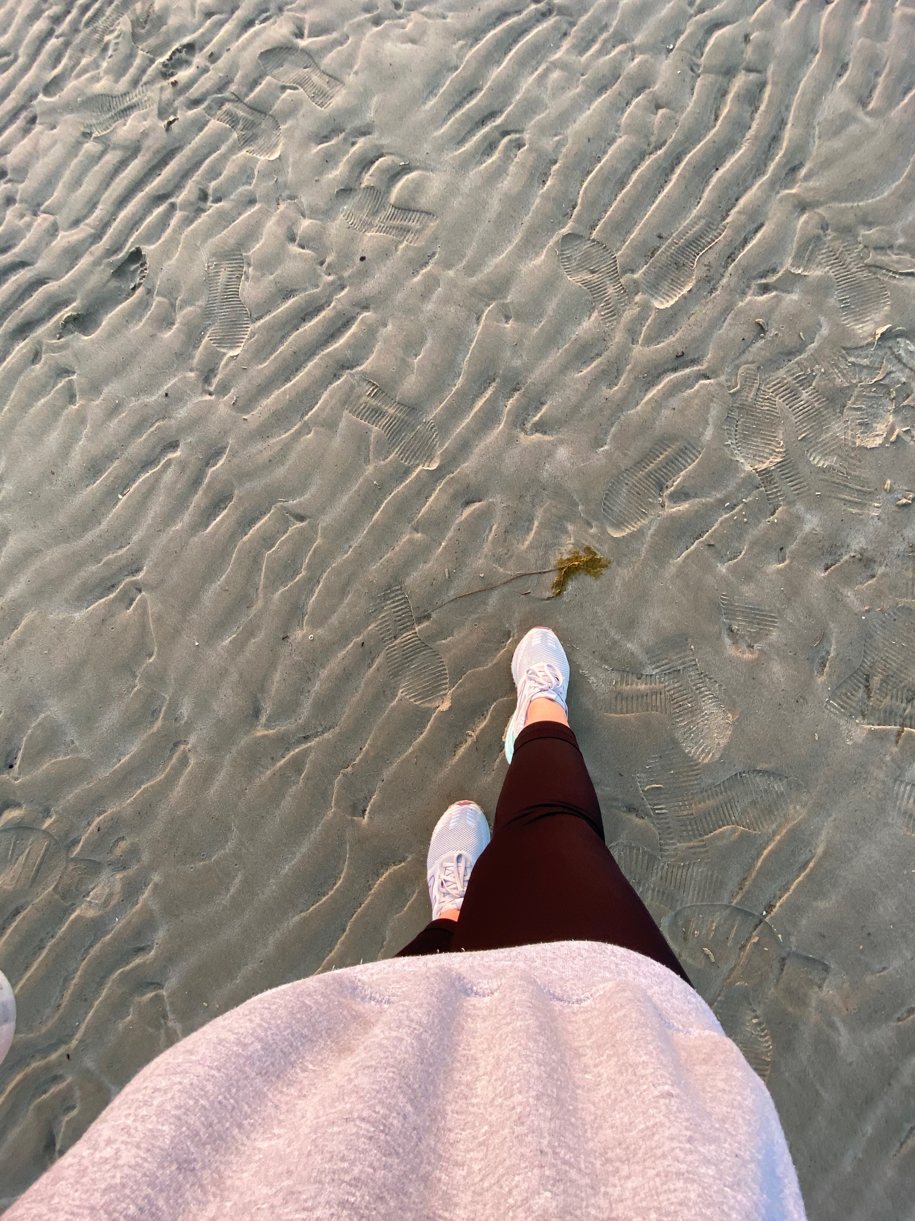Toes n Hoes banner image