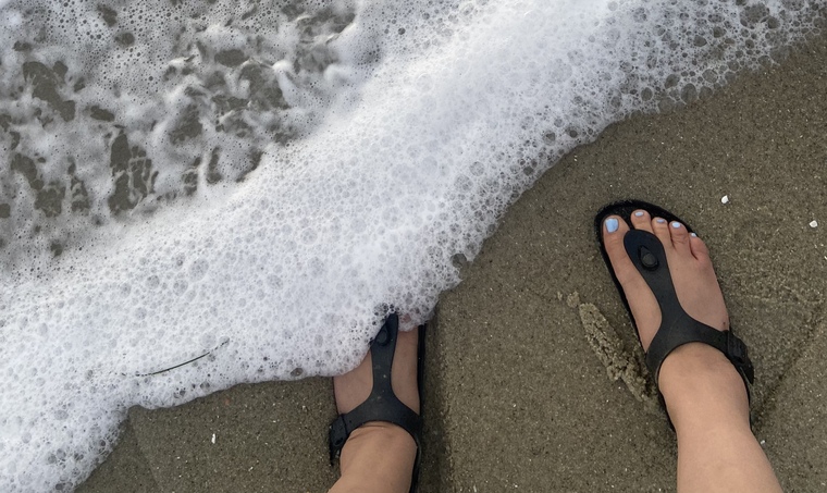 Amy’s Toes banner image